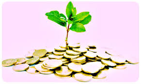MICRO CREDIT SERVICES